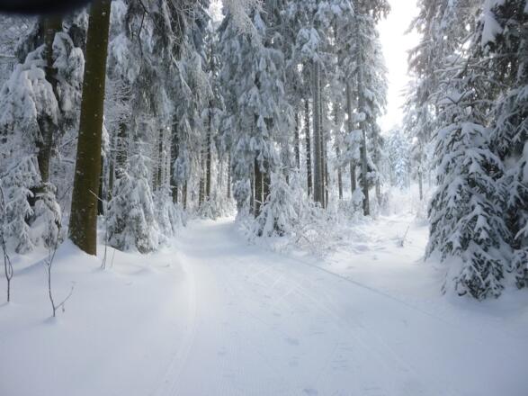 Steiler Anstieg zum Schopf
