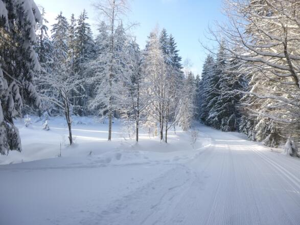 Abfahrt zum Grimmeisenweiher