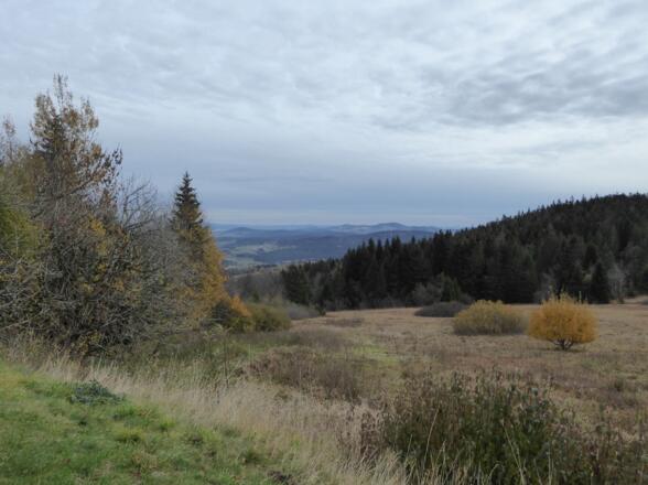 Aussicht vom Landshuter Haus