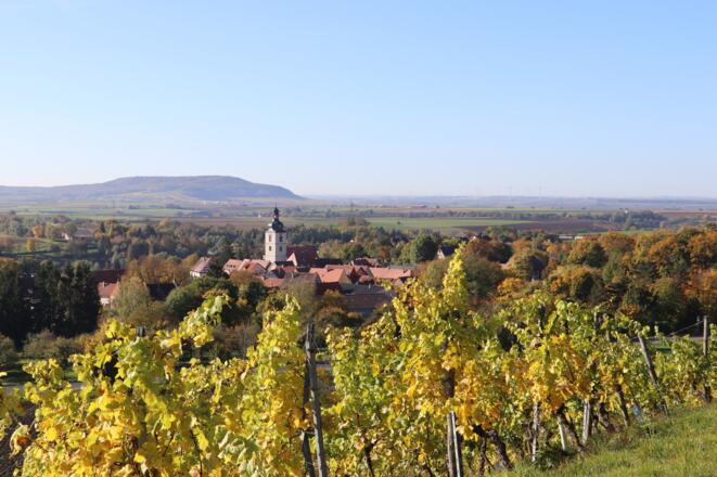 Weinlage Sonnenberg