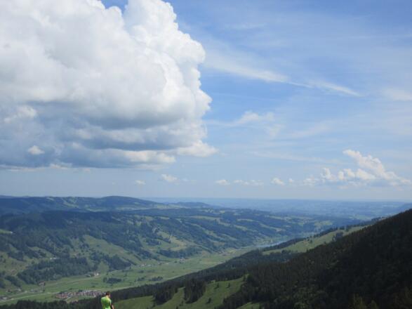 Konstanzer Tal in Richtung Immenstadt