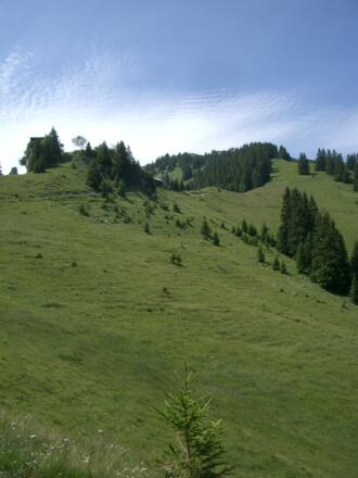 Fahrstraße zum Püschling (Schusterhaus)