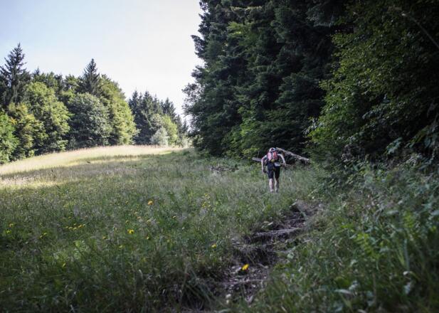 Nach der Verpflegung geht's gleich steil hinauf