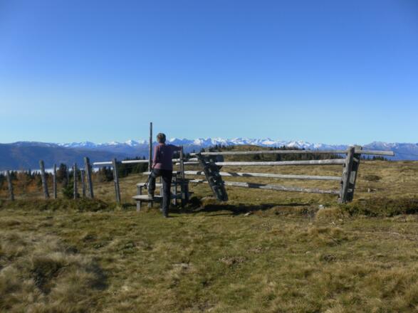 Weidezaunüberstieg