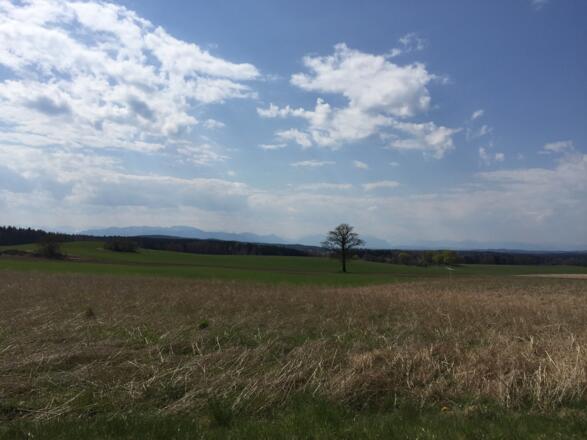 Bergblick bei Attenham Richtung Thanning
