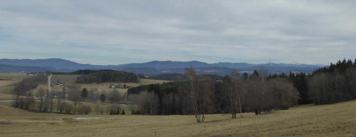 Blick auf Kaitersberg, Arber und Co.