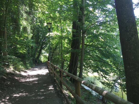 Amperradweg bei Grafrath
