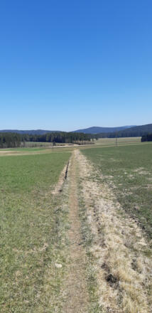 Pfad zwischen 2 Feldern