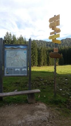 Ab dieser Ruhebank folgen wir dem Beton-Plattenweg hinab.