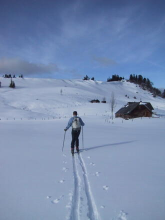 Illinger Alm