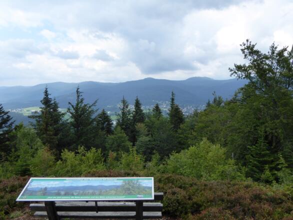 Blick von der Harlachberger Spitz