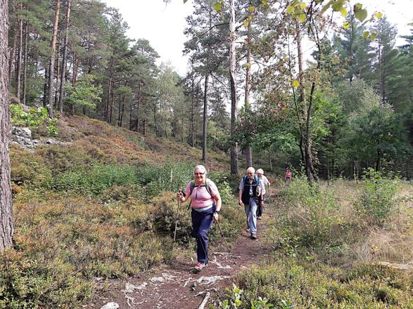 Weg nach Engelsdorf
