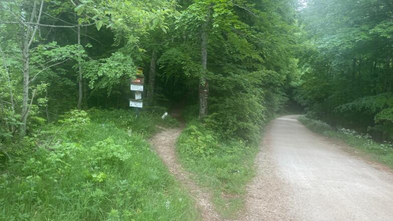 Bahnhof Ternberg - Herndleck Trail