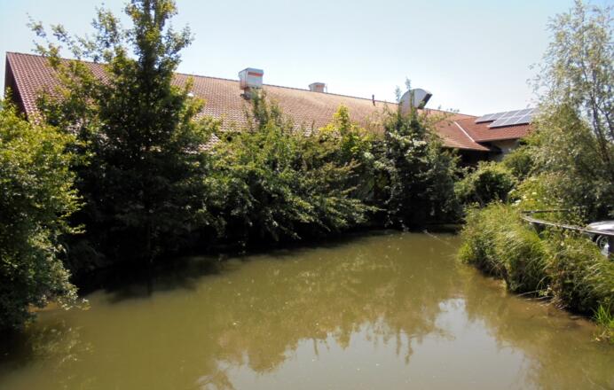 Ellermühle