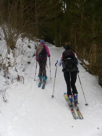 Hohlweg rechts des Pöttlergrabens