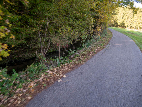 der Kupferbach neben der sSraße nach Glonn