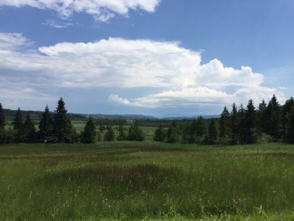 Blick über's Murnauer Moos