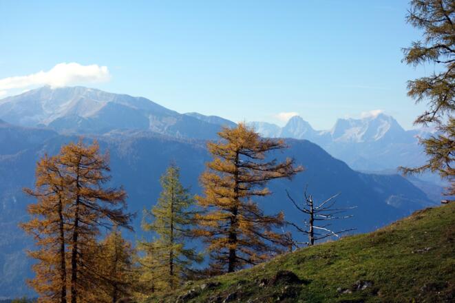 Abstieg Gowilalm, mit Warscheneck Spitzmauer und Prielkamm