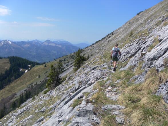 Querung vom Purtschellersteig zur Schafbergalm