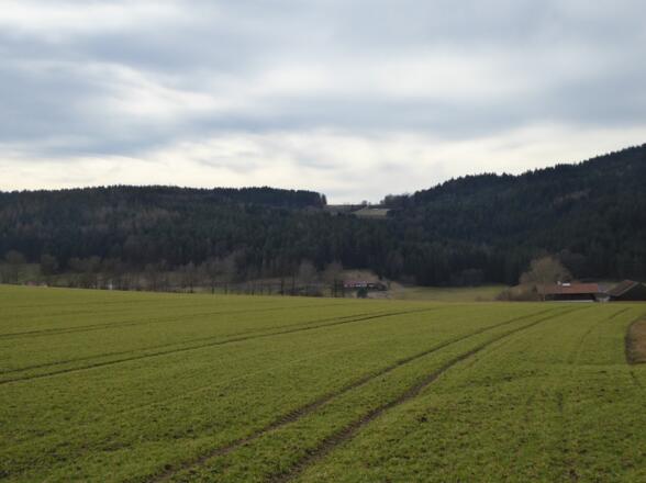 Blick auf Sitzenberg