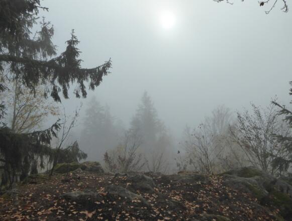 Aussichtspunkt Sattelberg