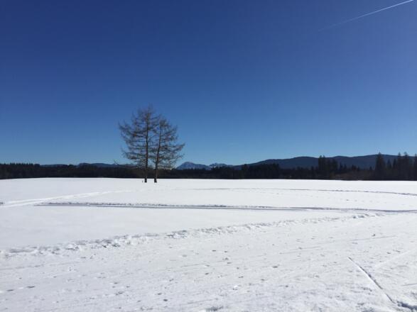 Sachsenkam beim Sportplatz