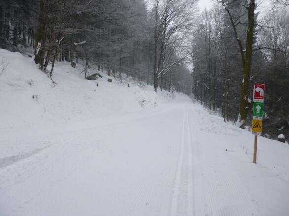 Kehre nach längerem Anstieg - links bergauf geht die Loipe weiter - geradeaus kommt man nach Kalteck
