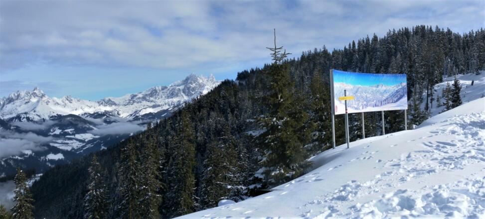 Blick zu Gosaukamm und Dachstein