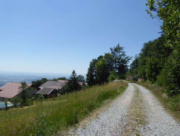 Grandsberg und Blick in den Gäuboden