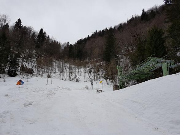 Hier verlässt man die Piste Richtung offenes Gehölz.