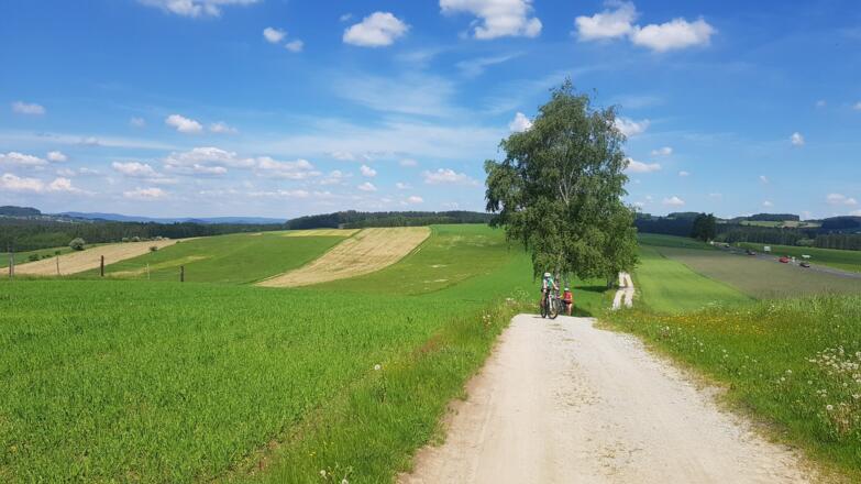 Anfahrt nach Rainbach