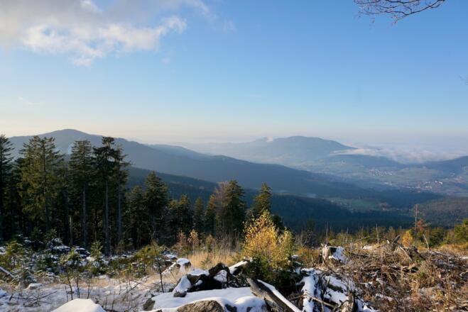 Riedelstein und Hoher Bogen vom Ödriegel