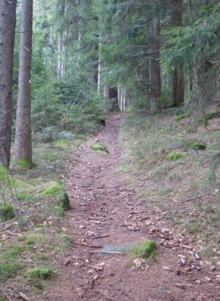 Aufstieg kurz nach Sattelpeilnstein