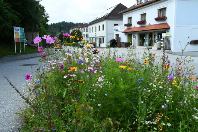 Pierbach - unser Etappenziel ist erreicht.