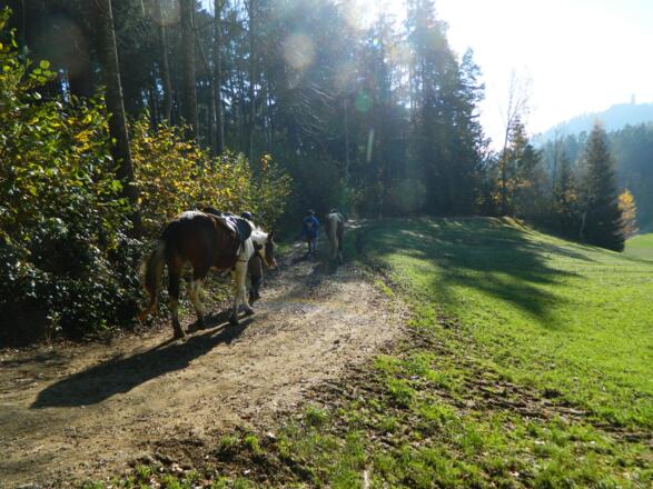 Reiterwege in Pabneukirchen