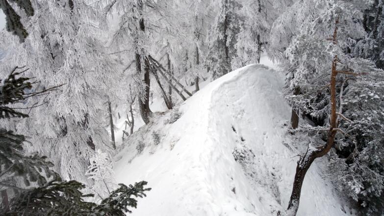 "Scharfe" Wächten am Verbindungsgrat