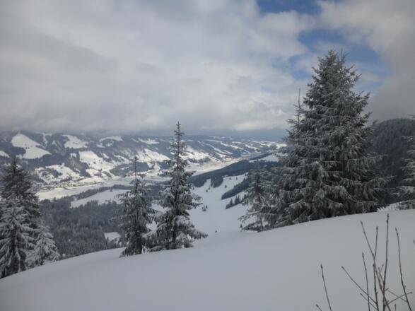 Talblick zum Alpsee vom Denneberg