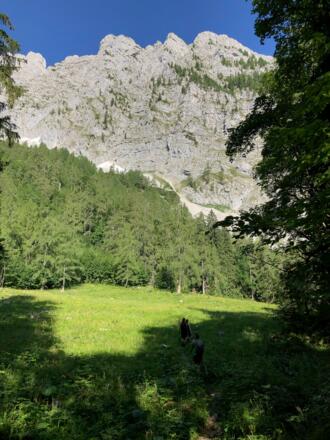 Blick von der Mitterkaser Diensthütte auf Schärtenspitze (links) und Steinberg (Mitte)