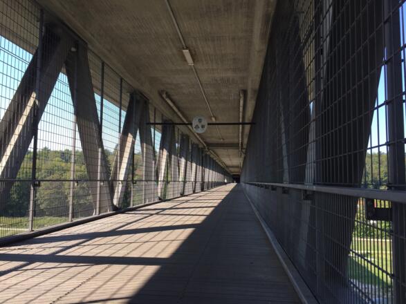 Großhesseloher Brücke