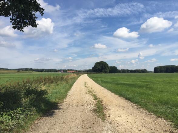 Von Obermarnbach Richtung Glonn