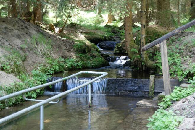 Kneipptretanlage &quot;Pröllersäge&quot;