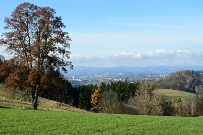 Von der Alm - Blick auf Pregarten