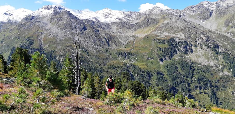 Hinten das Rosenjoch (Bildmitte).