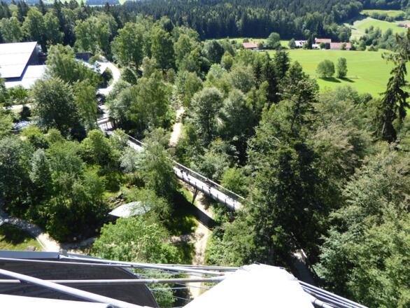 Baumwipfelpfad