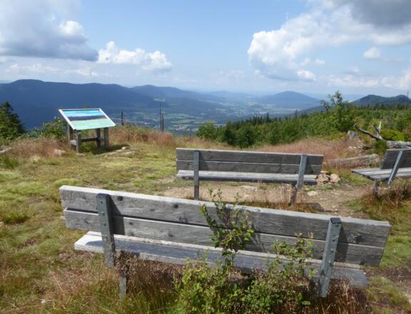 Naturkino am Zwercheck - heute läuft das Panoramaprogramm