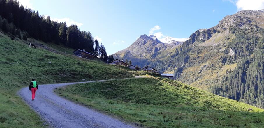 Die Vorbergalm. Hinten das nach einem Wettersturz angezuckerte Rosenjoch.
