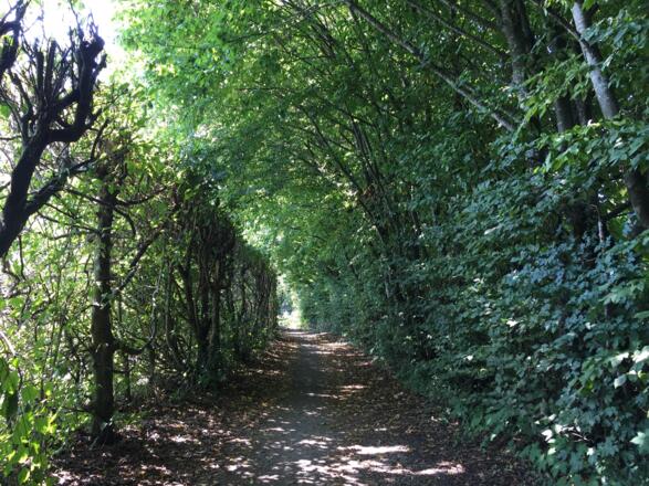 Radweg am Golfplatz Olching