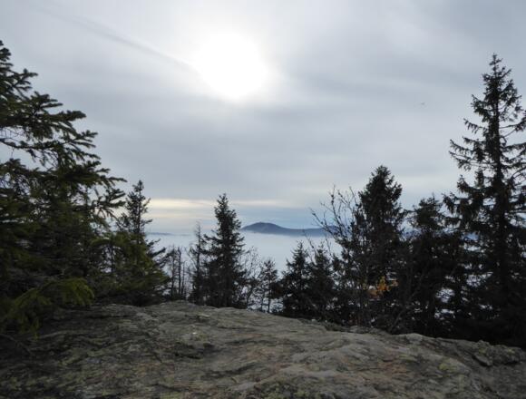 Blick auf den Großen Arber