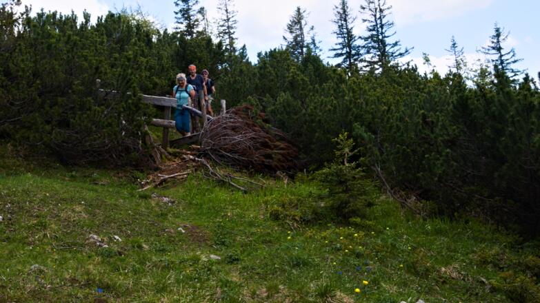 Wir verlassen das raue Gelände