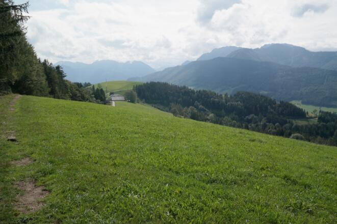 Rückblick auf den Kronbauer und in das Sengsengebirge.